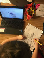 Kindergarteners Can Do It Too!