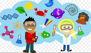 What is WESTEM?
