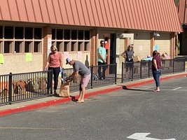 Parents: 2020-21 Planning Guide and Form due July 24, 2020